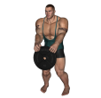 Anterior Raise - Plate